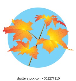 Fall. Branch with yellow leaves