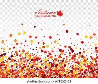 Fall bright seamless background with mixed maple leaves in traditional Autumn colors - orange, yellow, red, brown. Isolated vector pattern