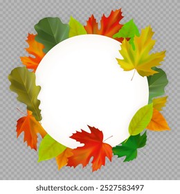 Fall card with realistic maple, oak autumn leaves. Round composition of autumn leaves on transparent background. Vector illustration