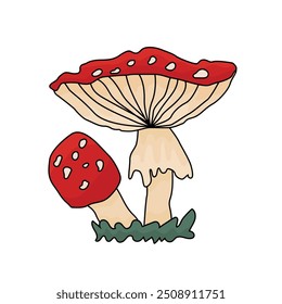 Fall cartoon amanita doodle mushroom. Pair of vector toadstool fly agaric mushrooms illustration on a white background