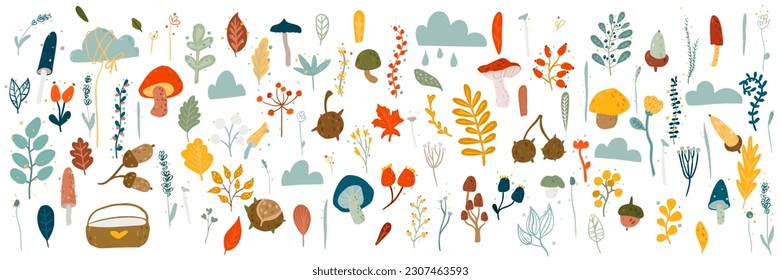 Fall clip art. Autumn set of hand drawn cute and cozy design elements. Thanksgiving Day,  Vector illustration