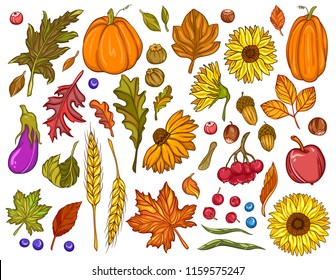 Fall Clip Art Set Leaves Flowers Stock Vector (Royalty Free) 1159575247 ...