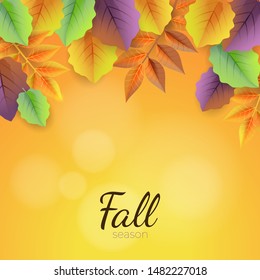 Fall colorful vector leaves background in bright colors