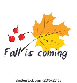 fall is coming. lettering, sticker, banner, inscription autumn theme with leaves of different colors, rowan. vector flat illustration. isolated on white background. Simple cartoon flat style. 