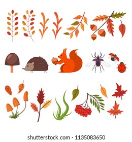 Fall decorative elements. Autumn leaves, grass, mushrooms, animals and bugs. Vector flat simple icons set isolated on white background.