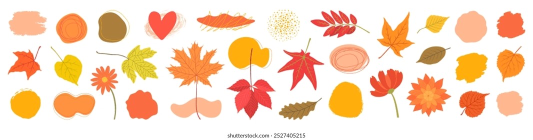 Elementos de diseño de otoño Paquete - hojas y Formas abstractas. Hojas de otoño de abedul, arce, roble, uva de soltera. Formas orgánicas para el fondo, dibujo a mano alzada. Gran conjunto de símbolos para gráficos de otoño.