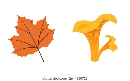 Fall elements vector set: orange leaf, mushrooms in flat design style. Hand drawn autumn set for banners, cards, social media