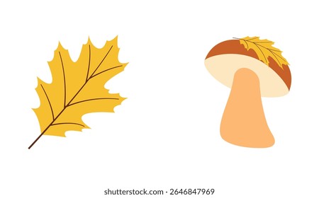 Fall elements vector set: yellow leaf, mushroom with yellow leaf in flat design style. Hand drawn autumn set for banners, cards, social media