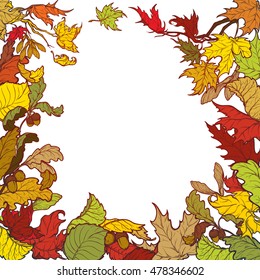 Fall Festival frame or border. Greeting card, flyer or poster template. Bright colourful autumn leaves isolated on square white background. Elaborate hand drawing. EPS10 vector illustration.