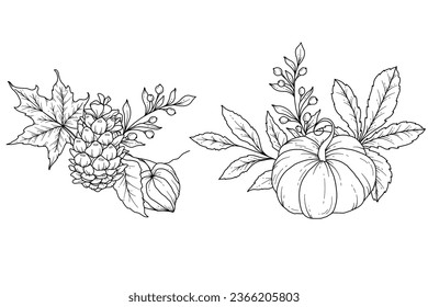 Fall floral arrangement outline. Fall Foliage Line Art Illustration, Outline Leaves arrangement Hand Drawn Illustration. Fall Coloring Page with Leaves. Thanksgiving arrangement. Thanksgiving graphics