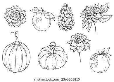 Fall floral arrangement outline. Fall Foliage Line Art Illustration, Outline Leaves arrangement Hand Drawn Illustration. Fall Coloring Page with Leaves. Thanksgiving arrangement. Thanksgiving graphics