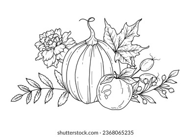 Fall floral arrangement outline. Fall Foliage Line Art Illustration, Outline Leaves arrangement Hand Drawn Illustration. Fall Coloring Page with Leaves. Thanksgiving arrangement. Thanksgiving graphics