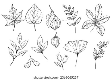 Fall floral arrangement outline. Fall Foliage Line Art Illustration, Outline Leaves arrangement Hand Drawn Illustration. Fall Coloring Page with Leaves. Thanksgiving arrangement. Thanksgiving graphics