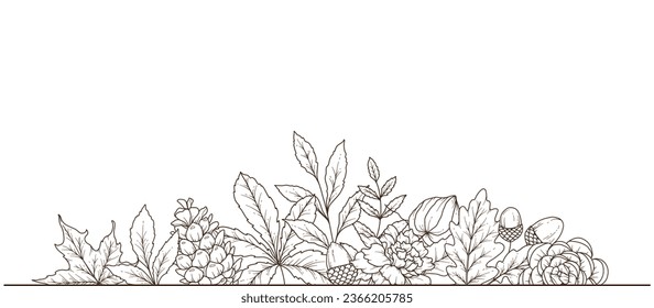 Fall floral frame outline. Fall Foliage Line Art Illustration, Outline Leaves arrangement Hand Drawn Illustration. Fall Coloring Page with Leaves. Thanksgiving arrangement. Thanksgiving frame isolated