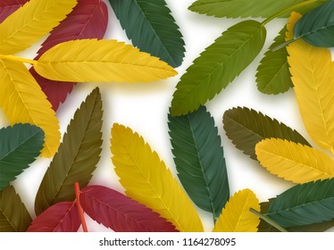 Fall Foliage. Autumn background with leaves in bright yellow green and red color