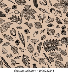Fall forest berries, flower, branches, leaves are hand-draw, doodle graphic. Vector outline illustration. Autumn seamless pattern. Monochrome trendy Flat design. For Textile, Wallpaper, Cards