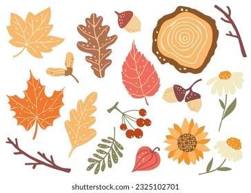 Fall forest leaves, berries and flowers. Autumn mood clipart