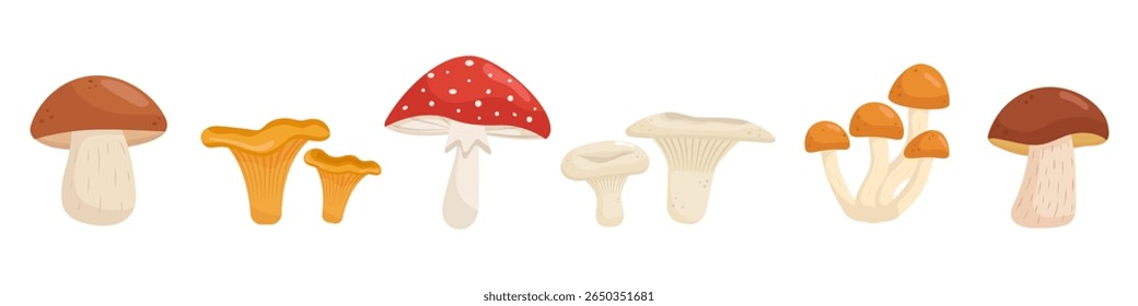 Conjunto de clipart de cogumelos da floresta de outono. Coleção de fungos de outono desenhada à mão, chanterelles, porcini, amanita. Ilustração botânica para design sazonal.
