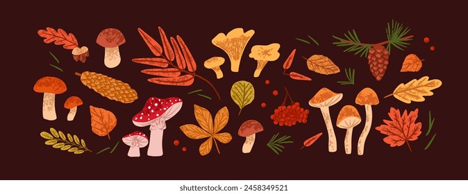 Herbstwald Naturset. Trockene Blätter von Rowan, Ahorn, Eiche. Rotes, gelbes und goldenes Herbstlaub verschiedener Bäume. Verschiedene Pilze, Tannenzapfen, Pilze, Beeren. Flache isolierte Vektorillustrationen