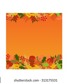 Fall, fruit, foliage