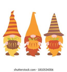 Fall Gnomes vector, Pumpkin Gnomes vector Illustration