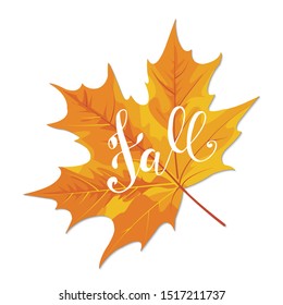 Fall hand lettering phrase on orange autumn maple leaf background