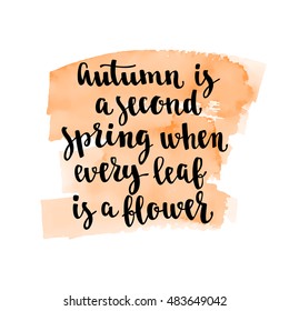 Fall handwritten brush calligraphy and autumn motives. Lettering and hand painted watercolor spot Vector element for your design on white background.
