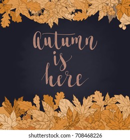 Fall handwritten brush calligraphy and autumn leaves and berries. Lettering and decorative elements. Vector illustration for your design on chalkboard dark background.