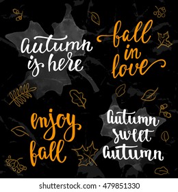 Fall handwritten brush calligraphy quote and autumn motives. Lettering and decorative leaves. Vector element for your design on chalkboard dark background.