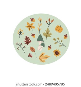 fall harvest background or banner with autumn seasonal elements. Cute foliage, drinks, clothes. Round background for cover design, cards.
