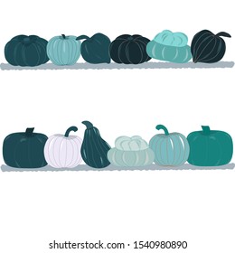 Fall harvest blue green pumpkins on shelves. Unique and delicious varieties of winter squashes. Vector Illustration.