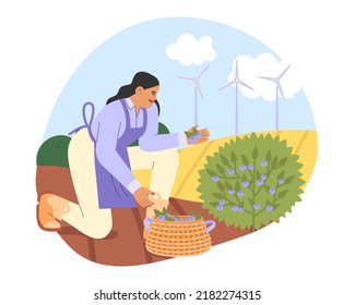 Cosecha de otoño. Ilustración vectorial plana con un personaje femenino en bayas de recolección uniformes. Concepto de trabajo agrícola.