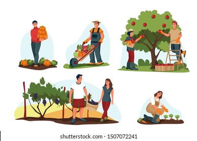 Fall harvesting and agriculture farming concept. Vector flat cartoon illustration. Farmers harvest autumn vegetables and fruits. People pick apples, pumpkins and grapes.