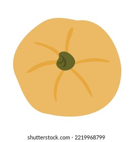 Fall illustrations with pumpkin, autumn pumpkin clipart, pumpkin vector illustration in flat style.