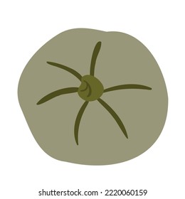 Fall illustrations with pumpkin, autumn pumpkin clipart, pumpkin vector illustration in flat style.