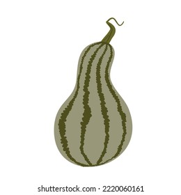 Fall illustrations with pumpkin, autumn pumpkin clipart, pumpkin vector illustration in flat style.