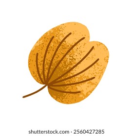 Fall leaf. Autumn dried natural seasonal decoration. Botanical design element, yellow and orange forest decor. Autumnal flat graphic vector illustration isolated on white background