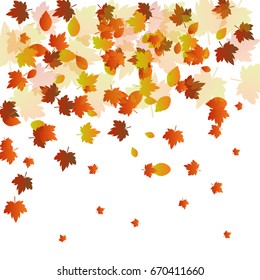 Fall leaf autumn season background