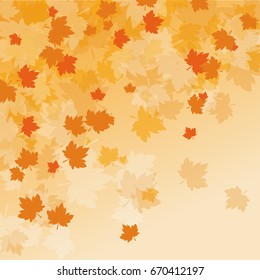 Fall leaf autumn season background