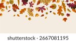 Fall leaf border. Autumn foliage, tree leaves decoration, banner background. Decorative botanical design with flying leafage, seasonal forest decor, pattern, backdrop. Flat vector illustration