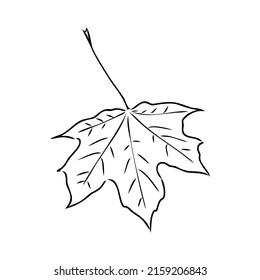 Fall Leaf Clipart Black White Leaf Stock Vector (Royalty Free ...