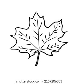 cliparte de hojas de otoño, dibujo de hojas blancas y negras, clíparte vectorial