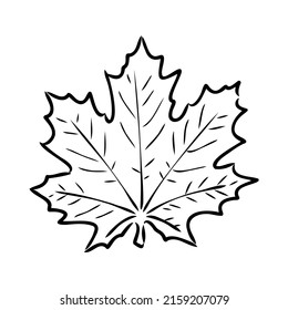 fall leaf clipart, black and white leaf drawing, vector clipart