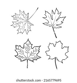 fall leaf clipart, black and white leaf drawing, vector clipart