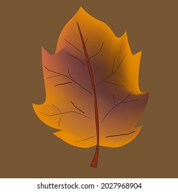 Fall leaf collection. Set of autumn leaves. Multicolor autumn leaves three-dimensional icons of autumn leaves of maple, oak, birch. Red, yellow, green brown leaves. Isolated vector objects.