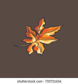 Fall leaf color vector illustration. Design hand drawn vector element on white background