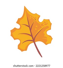 fall leaf design over white