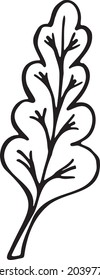 Fall leaf hand drawn vector doodle illustration. Cartoon leaf. Isolated on white background. Hand drawn simple element