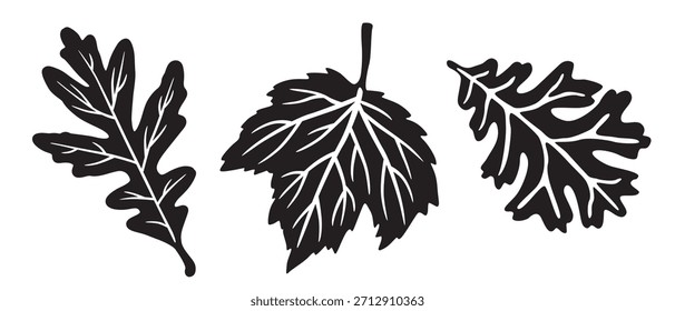 Conjunto de iconos de hojas de otoño. Otoño Elementos naturales. Blanco y negro. Ilustración vectorial dibujada a mano. Plantilla de diseño de tarjeta de felicitación. Concepto de decoración