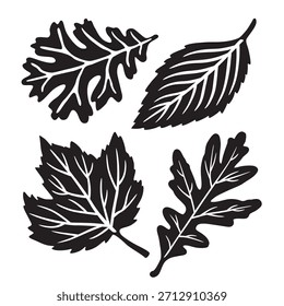 Conjunto de ícones de folha de outono. Elementos naturais de outono. Preto e branco. Ilustração de vetor desenhada à mão. Modelo de design de cartão de mensagem. Conceito de decoração